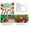 Acorn All About Plants Book Set, Set of 5 9781484638613 - alternate 6